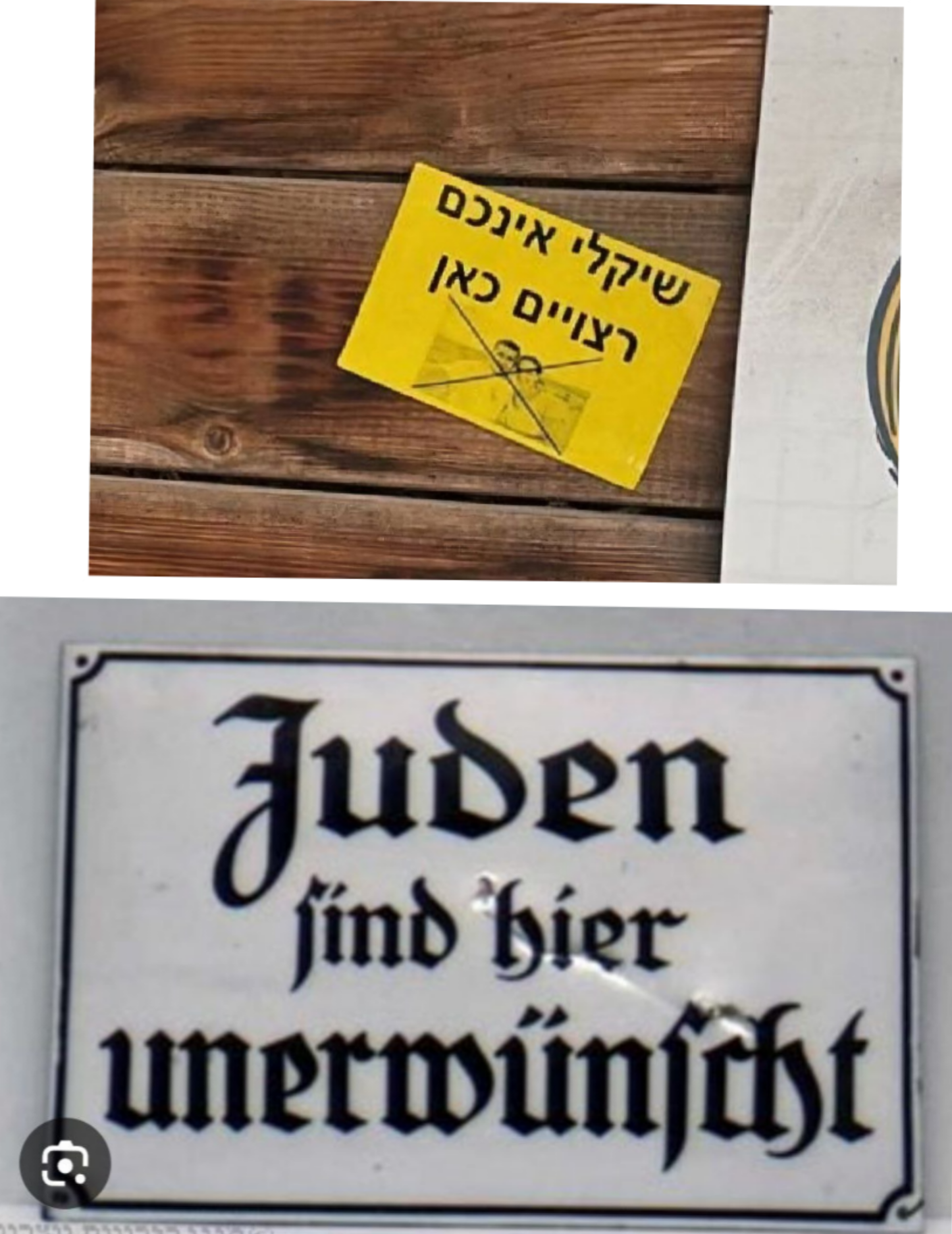 סלקציה 2025