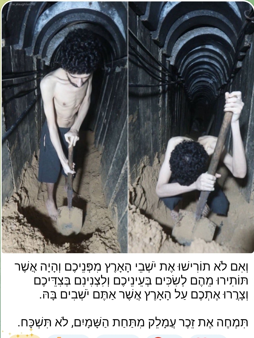 שרי חוץ זועקים בעקבות סרטוני החטופים