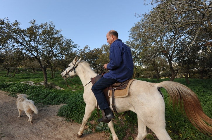 יעלון :