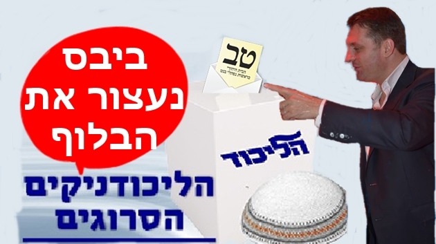 התרופה של הסרוגים בליכוד : חיים ביבס