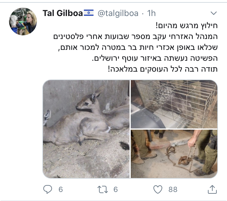 טל גלבוע - חילוץ חיות שנכלאו בידי פלסטינים