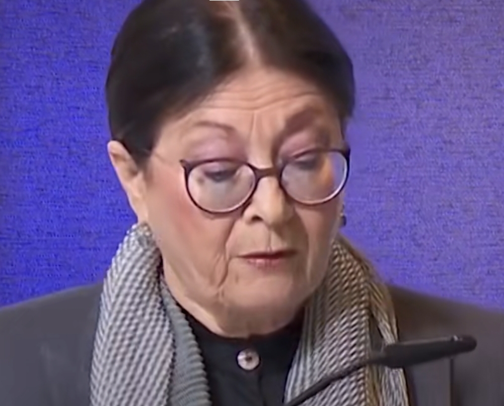 קשר חיות: חברות הביטוח והשפעתן על הרשות השופטת בישראל